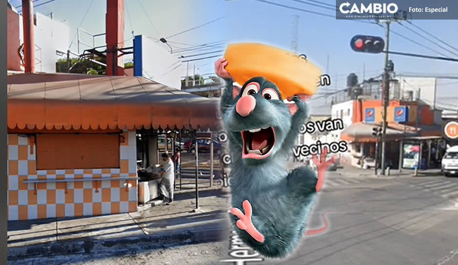 Evidencian en VIDEO que Taquería Takazo de Hermanos Serdán está infestada de ratas