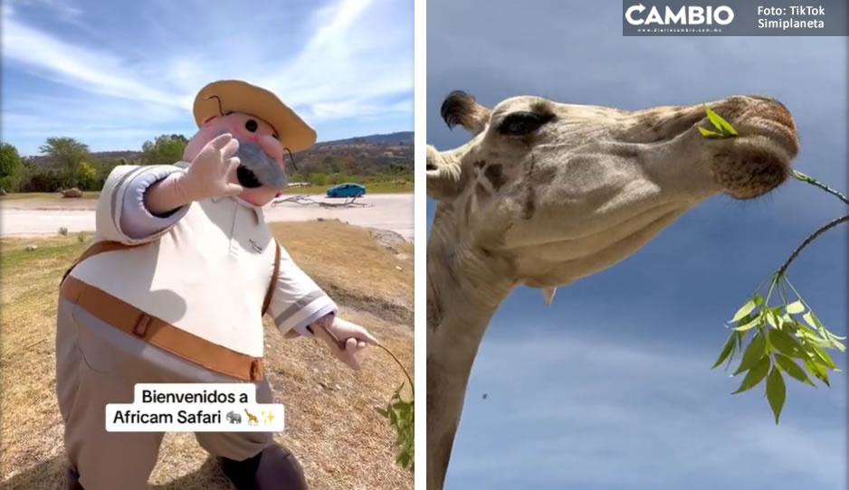 ¡Encuentro de estrellas! Dr. Simi visita a Benito en Africam Safari (VIDEO)