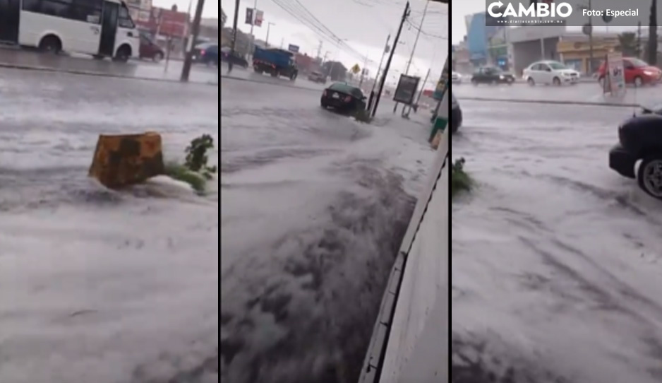 Amalucan ya no necesita playa, ahora se convierte en Venecia (VIDEOS)