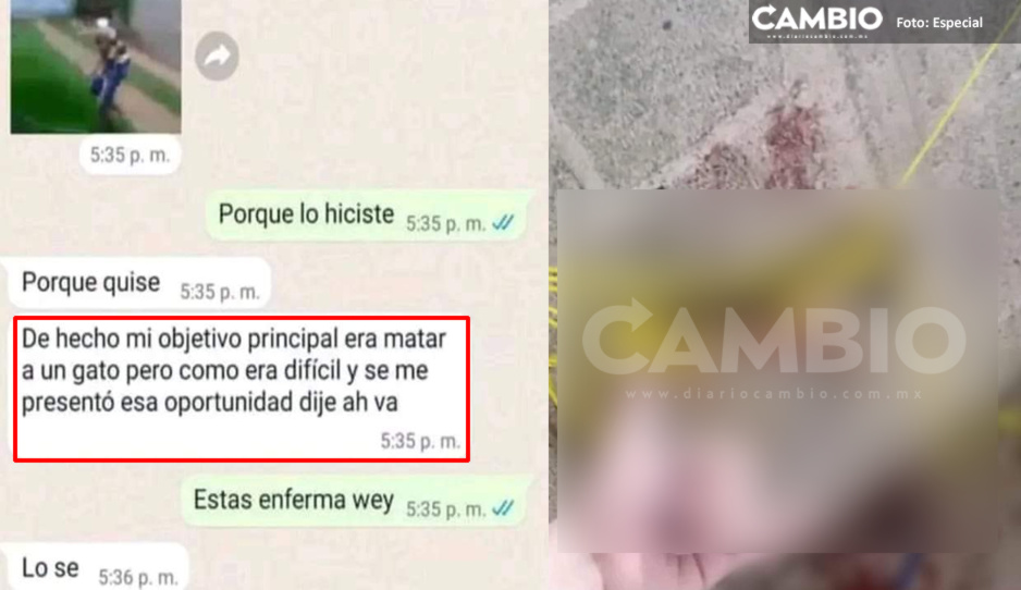 Adolescente desalmada adopta a perrito, lo tortura y mata en Huauchinango (IMÁGENES SENSIBLES)