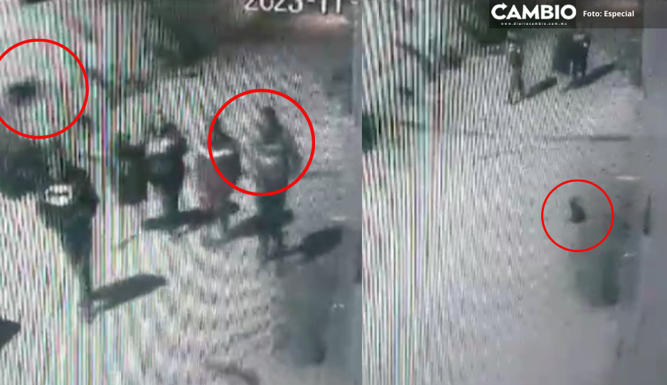 ¡Indignante! Desalmado patea brutalmente a perrito en Texmelucan (VIDEO)