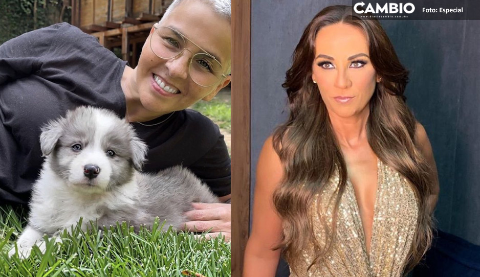 Consuelo Duval exhibe a Federica Quijano por abandonar perritos
