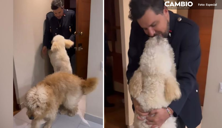 La conmovedora reacción de Paul Stanley al enterarse de la muerte de su perrito (VIDEO)