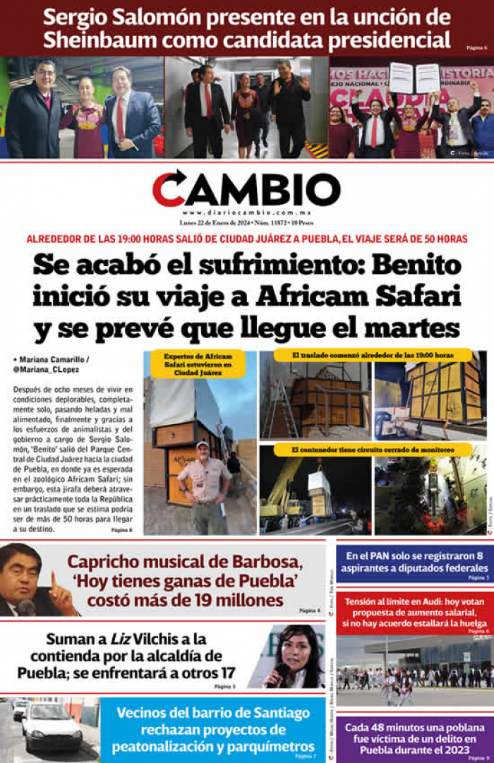 Se acabó el sufrimiento: Benito inició su viaje a Africam Safari y se prevé que llegue el martes
