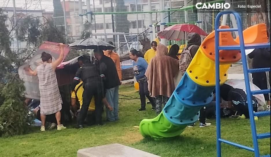 Le pasan la bolita a Contraloría Municipal; investigará negligencia en Las Hadas