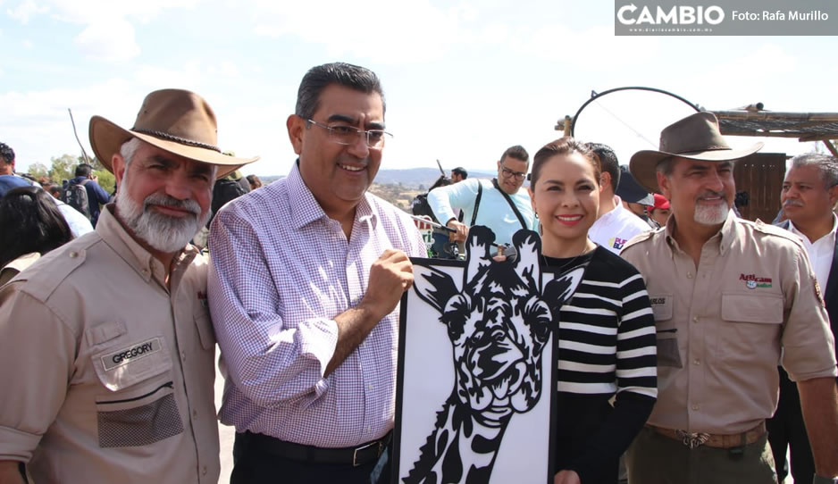 Sergio Salomón y Africam Safari se agradecen mutuamente por rescatar a Benito