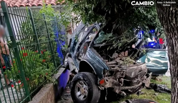 ¡Karma instantáneo! Mueren tras robar camioneta y chocar vs un árbol (VIDEO)