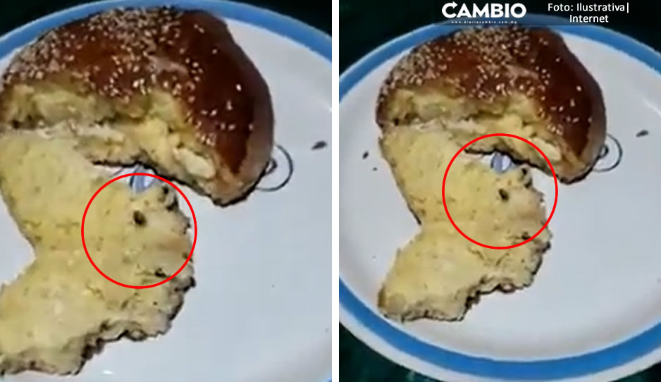 VIDEO: ¡Qué repugnante! Cliente de la Flor de Puebla encuentra heces de rata en su pan