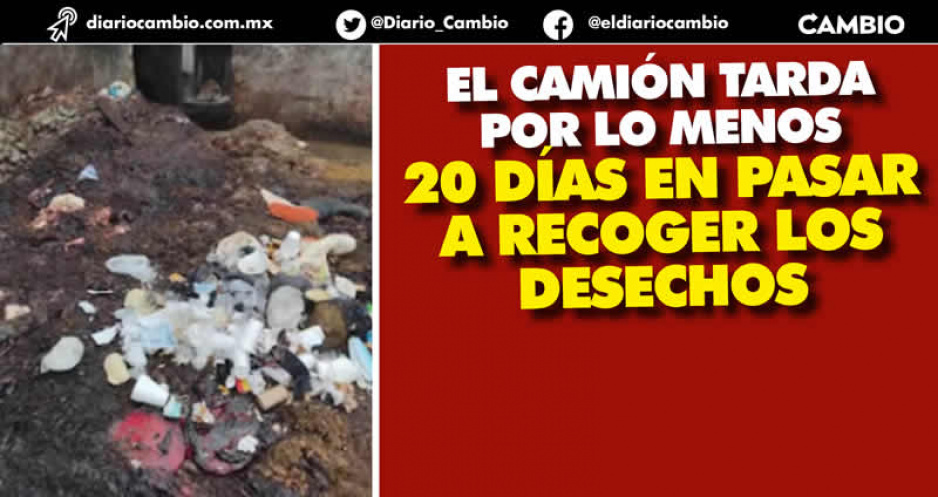 Rastro de Tehuacán lleva más de  20 días sin recolección de desechos