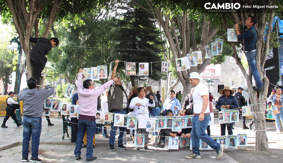 ¡Triste Navidad! Colocan “el árbol de la esperanza” en el Zócalo de Puebla (VIDEO)