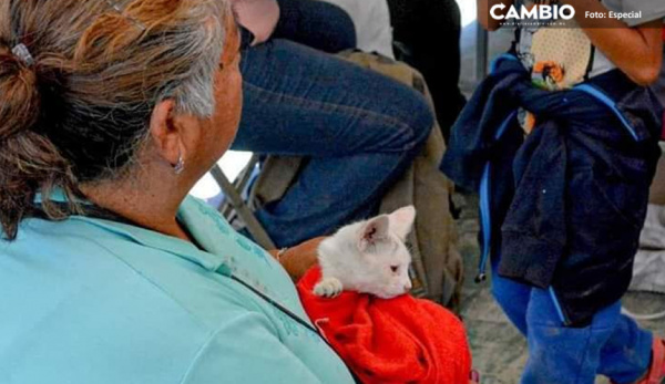 Un éxito jornada de esterilización a mascotas gratuita en Juan C. Bonilla