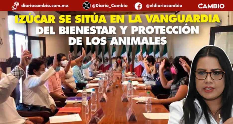 En Izúcar votan a favor de la protección animal y su reglamento