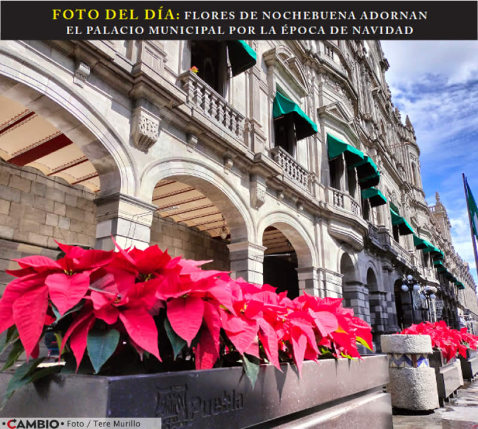 FOTO DEL DÍA: FLORES DE NOCHEBUENA ADORNAN EL PALACIO MUNICIPAL POR LA ÉPOCA DE NAVIDAD