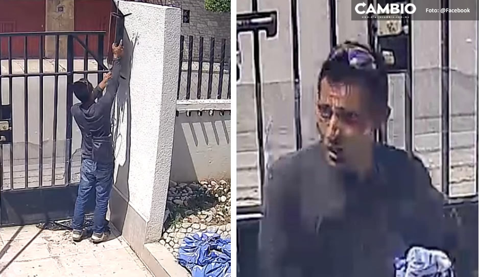 VIDEO: Ladrón vacía casa en Tehuacán a plena vista y nadie "se dio cuenta"
