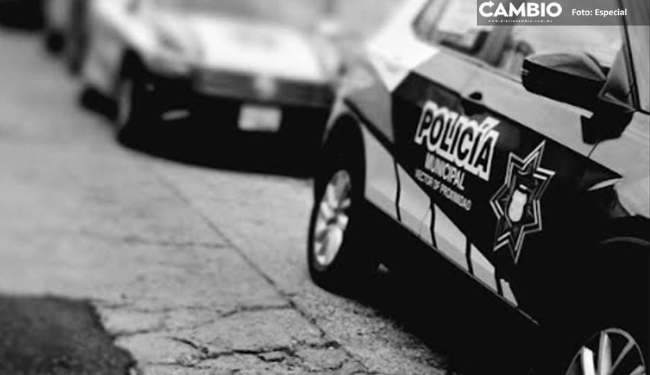 Localizan cadáver embolsado y degollado en Zaragoza