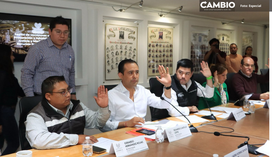 Aprueban Comisiones del Congreso proyecto de dictamen para tipificar la zoofilia