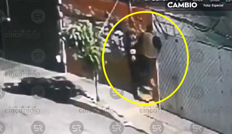 Vecinos de Mayorazgo en pánico; ladrón lleva varias noches intentando robar sus casas (VIDEO)