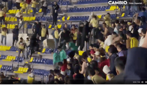 Pleitazo en las gradas durante el partido de América vs León en el Azteca (VIDEO)