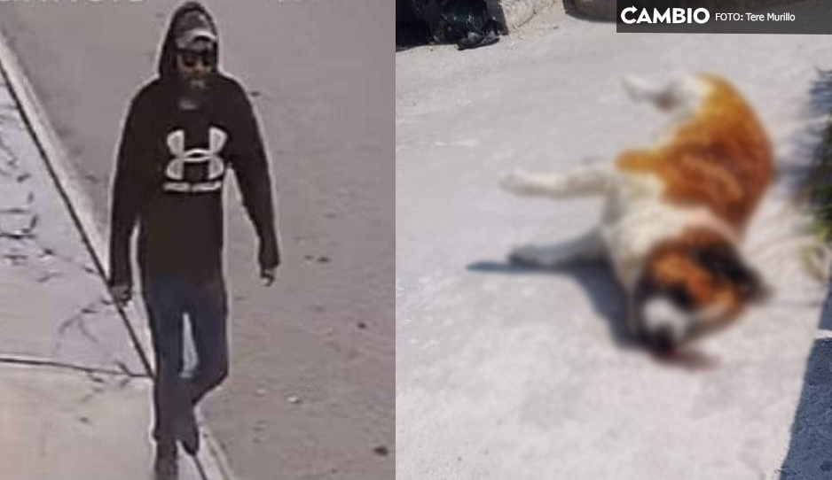 FUERTE VIDEO: Sujeto mata a balazos a un perrito en Los Reyes de Juárez