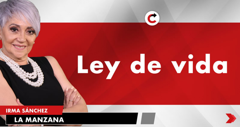 Ley de vida