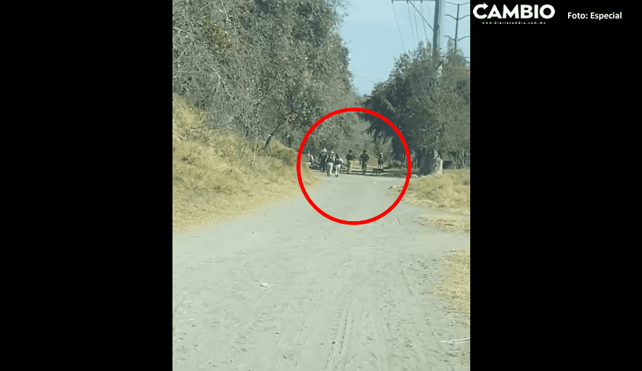 Fiscalía y GN realizan operativo de búsqueda en Huejotzingo (VIDEO)