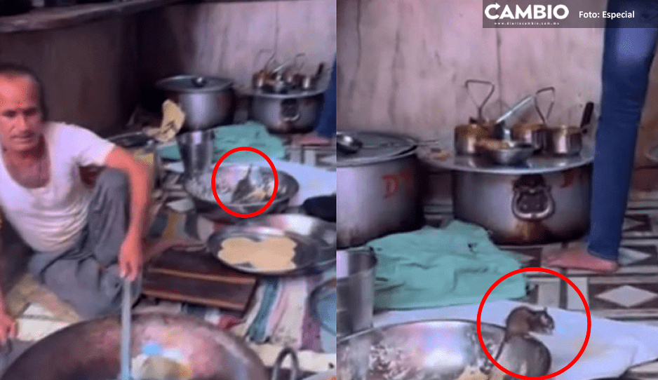 ¿Son parientes de Remy? Ratas pasean en cacerolas de puesto de comida (VIDEO)