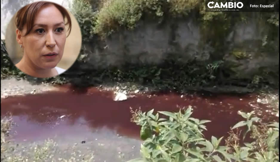 Suman al menos 60 descargas ilegales en el río Alseseca: Lupita Leal