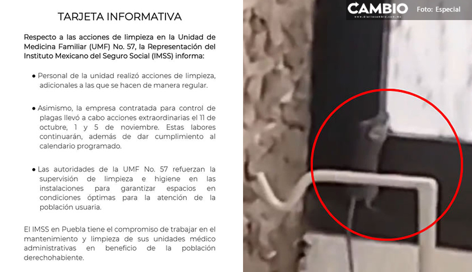 Realizan jornadas de limpieza en IMSS de La Margarita tras exhibir plaga de ratas