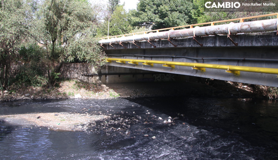 Recibe Conagua de 10 a 15 denuncias mensuales por invasión del Río Atoyac (VIDEO)