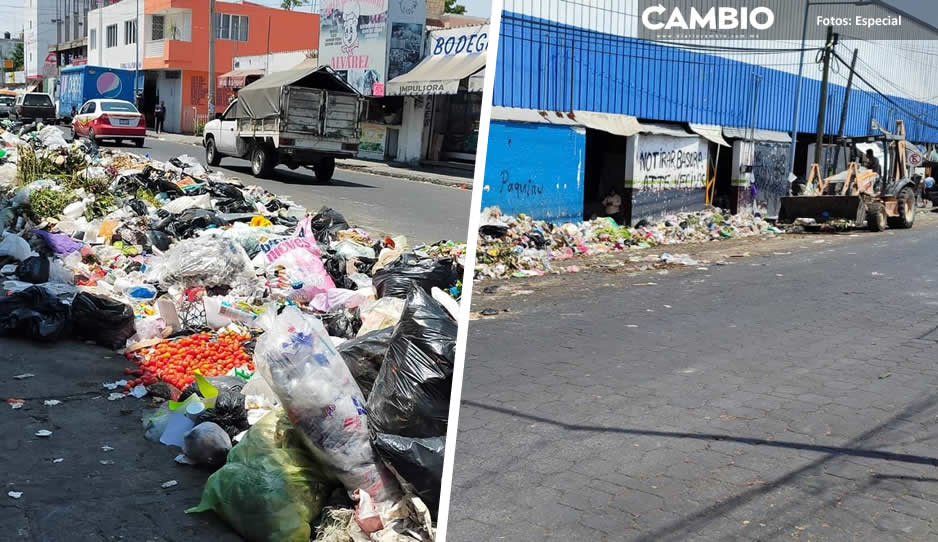 Tehuacán, bajo la basura una vez más: camión recolector lleva tres semanas sin pasar por colonias