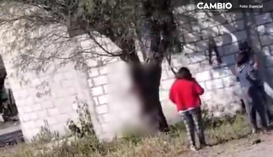Un invidente el que ahorcó a la perrita Chocolata: ya hay denuncia en FGE por maltrato animal