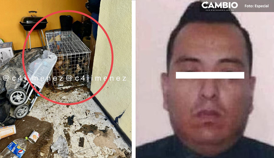 Padres que agredieron a maestra en Cuautitlán, también maltrataban perritos