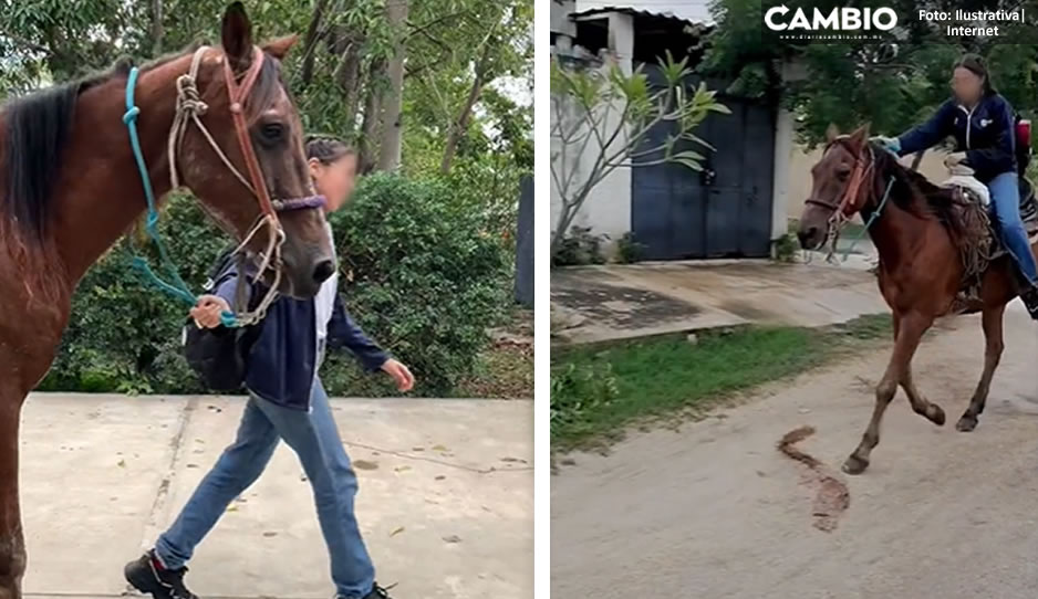 VIDEO: ¡Regalo único! Jazmín cambia su fiesta de XV años por un caballo