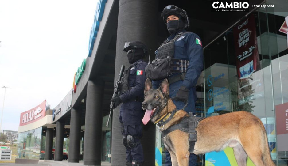 SSPPC de San Andrés despliega operativos para prevenir delitos en temporada decembrina