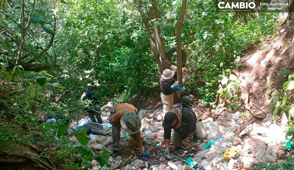 Hallan fosa clandestina con más de 40 cadáveres en Michoacán (VIDEO)