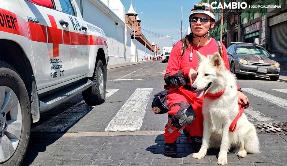 FOTOS: Así se vive el desfile por aniversario de la Cruz Roja Puebla