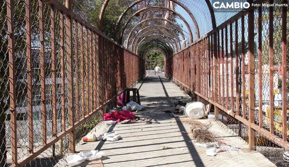 Retiro de puente peatonal del CENHCH costará 2 millones de pesos (VIDEO)
