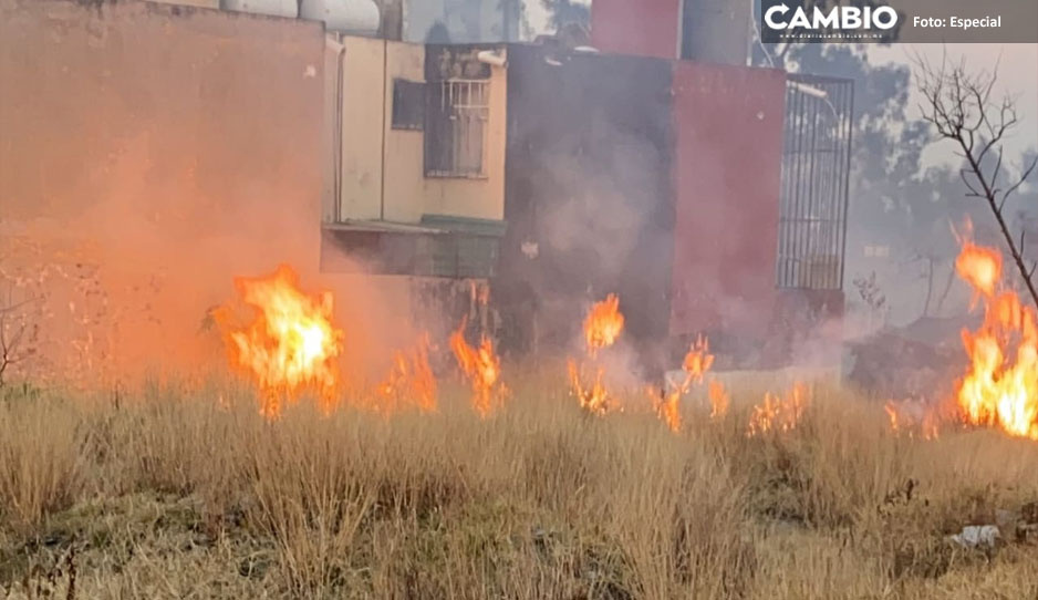Quema de pastizal provoca fuerte incendio en Ciudad Judicial