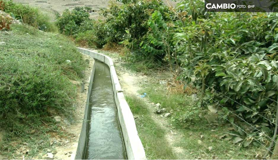 Joven muere ahogado al caer en un canal de riego en Tepeojuma
