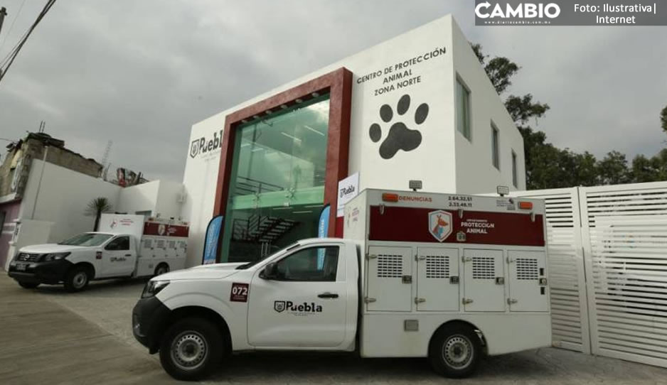 Arranca Ayuntamiento construcción del Centro de Bienestar Animal en Amalucan (VIDEO)