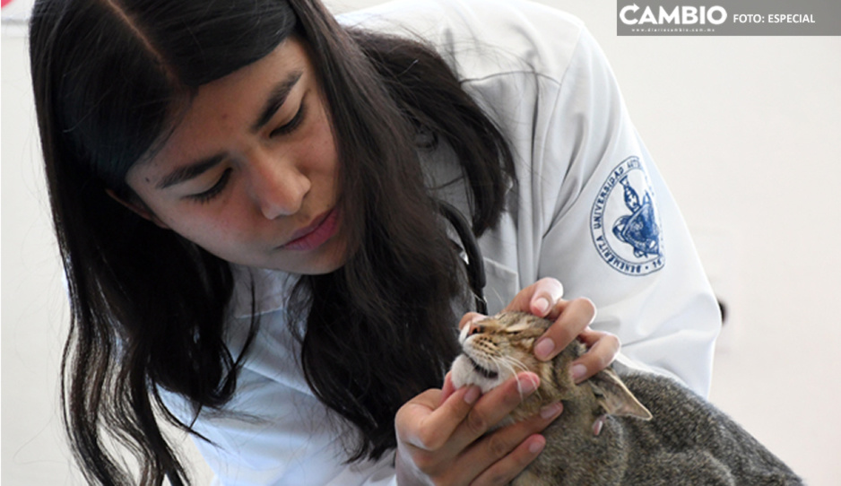 Hospital Veterinario para Pequeñas Especies de la BUAP, semillero de egresados y conocimientos especializados en la atención de mascotas
