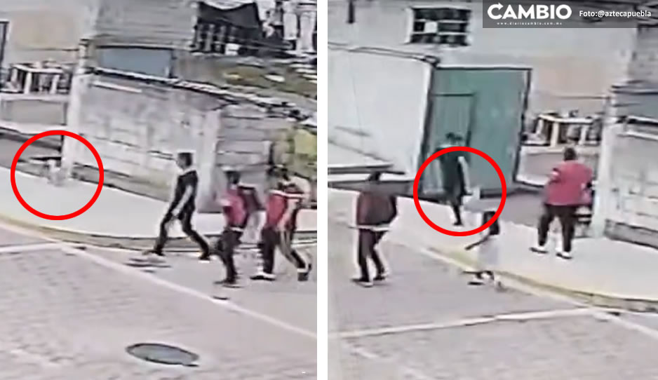 VIDEO: Desalmado mata a un perrito de una patada en San Andrés Cholula