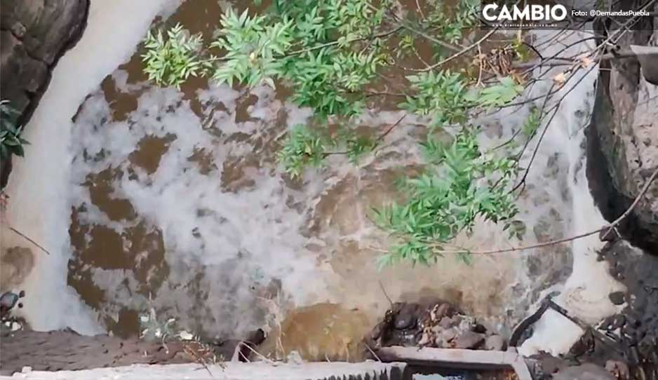 Denuncian descarga de aguas negras en el río Alseseca (VIDEO)