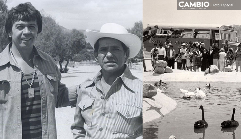 FOTOS: Así lucía Africam Safari hace 50 años… hasta Chabelo lo visitó