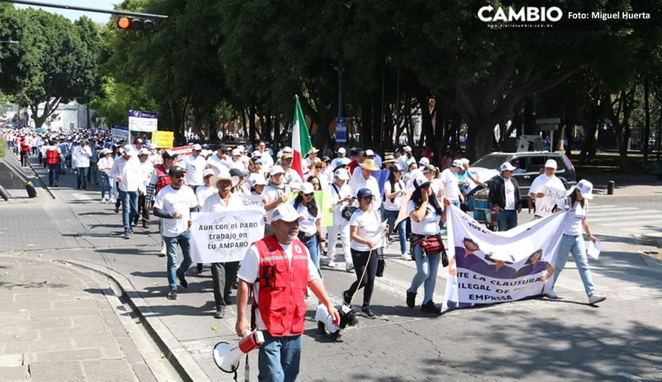 Trabajadores del Poder Judicial y panistas se manifiestan en contra de la extinción de los fideicomisos (VIDEO)