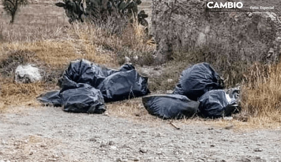 Desmembrados hallados en Cañada Morelos serían jóvenes reportados como desaparecidos