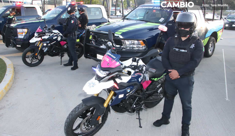 Cabildo de Lalo avala brindar protección a funcionarios municipales con cargo al erario  (VIDEO)