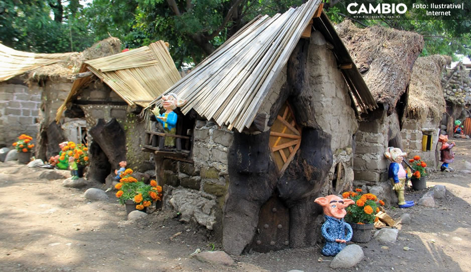¿Te gusta la magia? Conoce este bosque encantado ubicado en Puebla