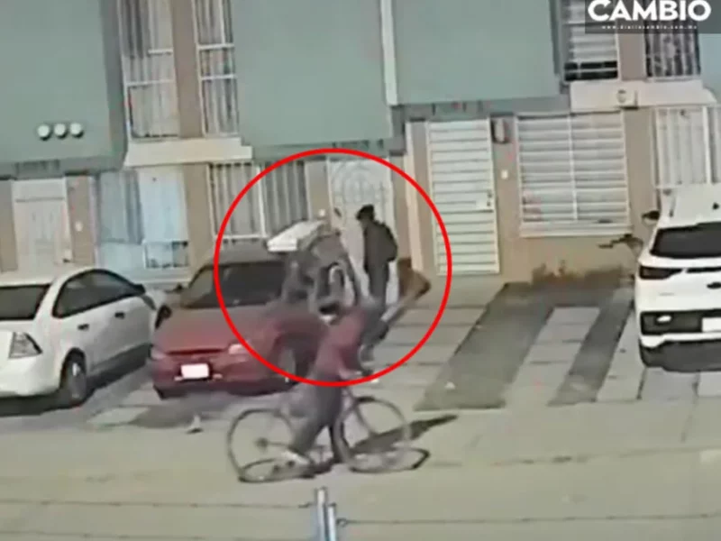 VIDEO: ¡Vecinos justicieros! Frustran robo de escalera en calles de Los Héroes