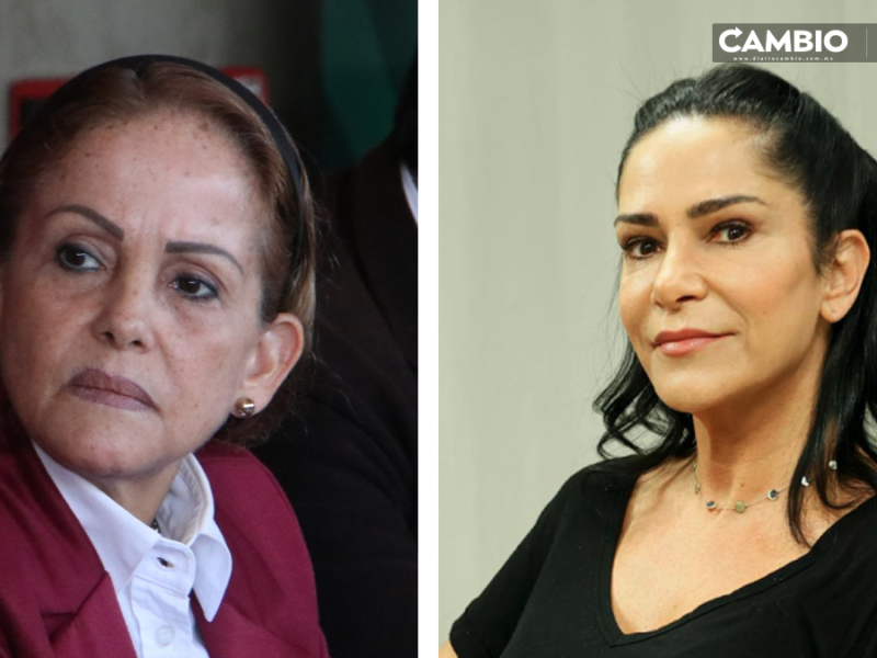 No nos interesa la opinión de Lydia Cacho sobre nuestros candidatos: líder de Morena